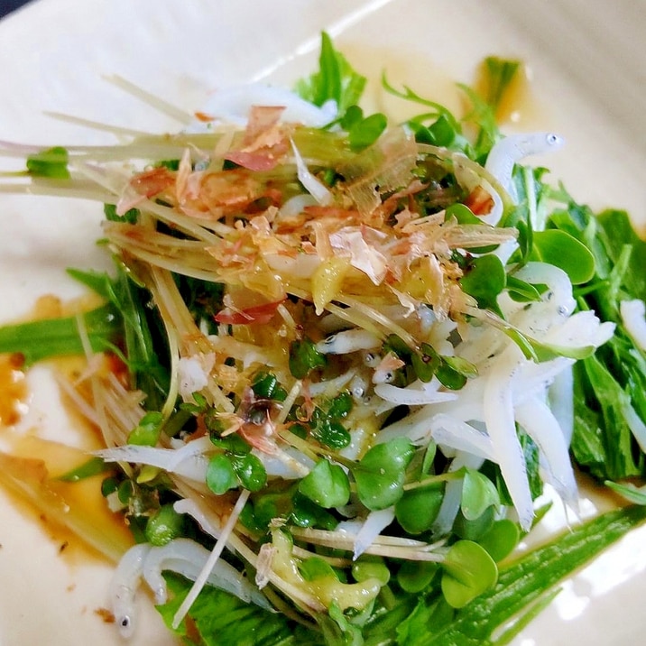 しらすと水菜のサラダ レシピ 作り方 By Diamond K 楽天レシピ しらすと水菜のサラダ レシピ 作り方 By Diamond K 楽天レシピ